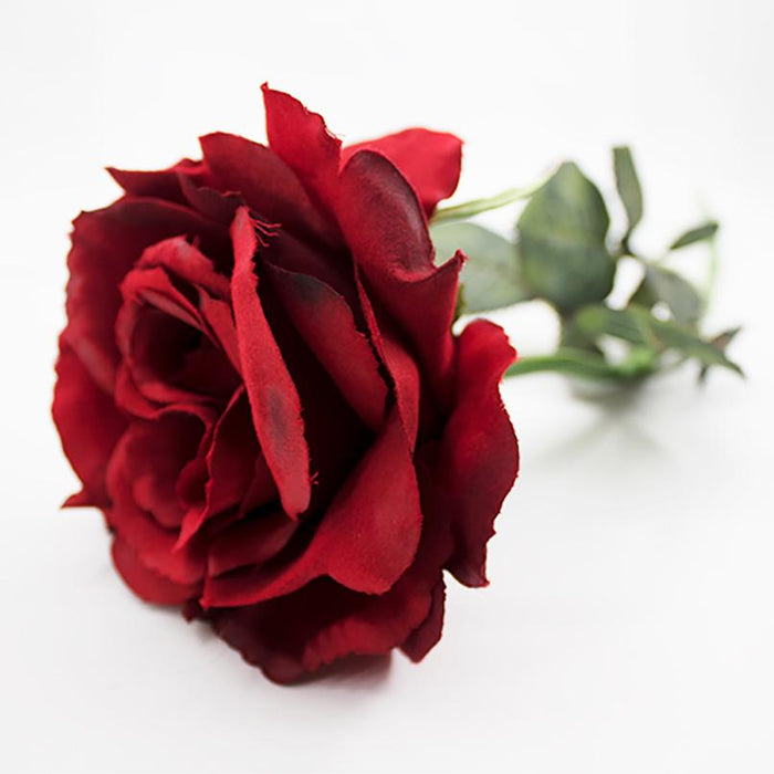 Rose 66cm - Deventor