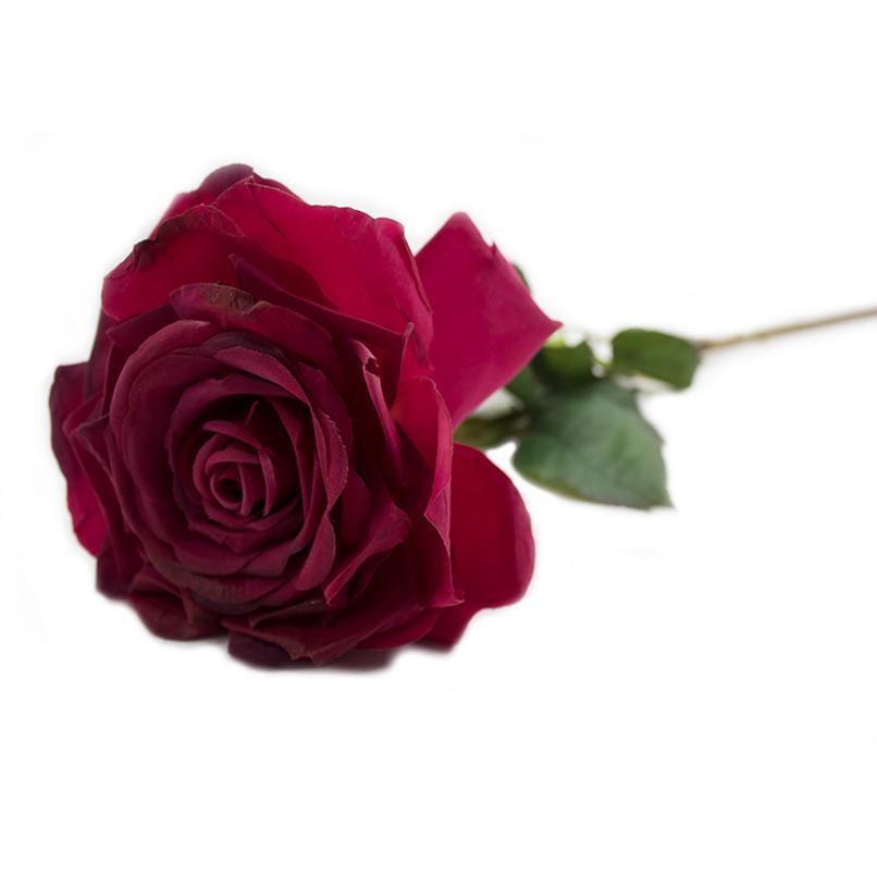 Rose 80cm — Deventor
